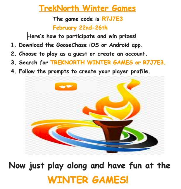 Winter Games Goosechase