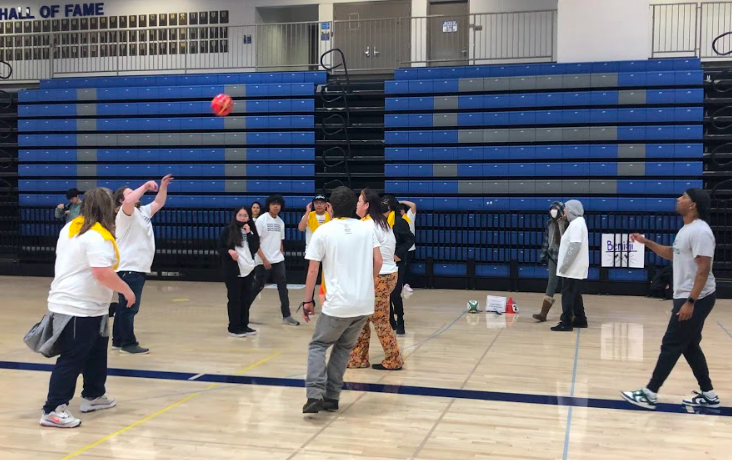 Unified Champion Schools